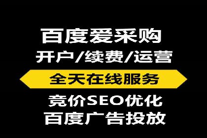 百度推广实战：成功案例解析